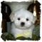 Click to view classifieds XUGBNWKM