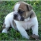 Click to view classifieds MXNDSTPW