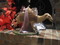 Click to view classifieds XMBWHRBJ
