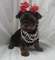 Click to view classifieds NCVQXASZ