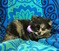 Click to view classifieds HJALTBVG