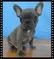 Click to view classifieds CVRCDVXF