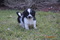 Click to view classifieds CVLERAUV