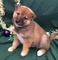 Click to view classifieds UFHQXDUJ