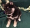 Click to view classifieds STBGOULH