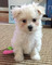 Click to view classifieds QDPVCYQY