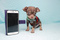 Click to view classifieds BANVERSS