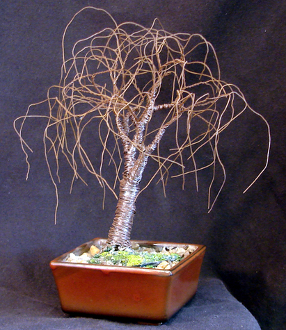 Small Bonsai Elm, wire tree sculpture - by Sal Villano