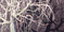 Click to enlarge image