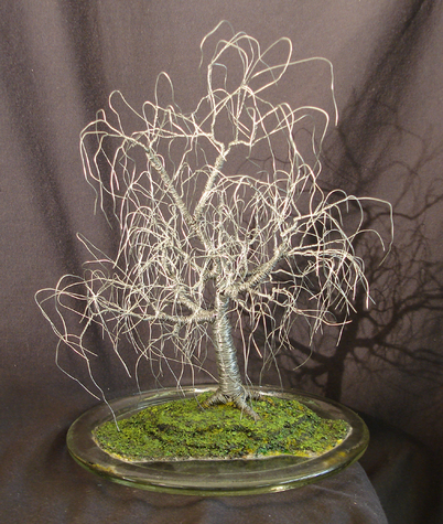 Poplar in Round Glass, wire tree sculpture - by Sal Villano