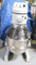 Click to view classifieds ADQWMTHN