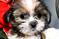Click to view classifieds WPMHCCKY