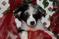 Click to view classifieds ZFLSPQSE