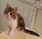 Click to view classifieds QTQONKUG