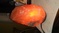 Click to view classifieds EWZZLYEQ