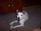 Click to view classifieds LDZRLPQS