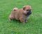 Click to view classifieds GEFVRLPQ