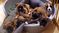Click to view classifieds XYEBNJPJ