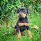 Click to view classifieds JHOBXCJD