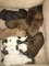 Click to view classifieds EFOJROHL