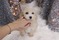 Click to view classifieds EZDEBGZK