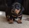 Click to view classifieds FRFZNSAC