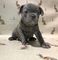 Click to view classifieds RHNTTXFH