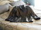 Click to view classifieds HCZZXUGR