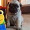 Click to view classifieds KDGVCGZV