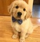 Click to view classifieds FAOXNYCY