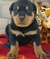 Click to view classifieds MGSVZHYH