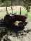 Click to view classifieds AOYMDYQQ