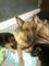 Click to view classifieds JDRKBQPT