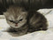 Click to view classifieds KZHASOTY