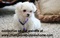 Click to view classifieds MKNSQUQE