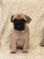 Click to view classifieds KRCLDRXJ