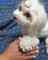Click to view classifieds RLODFTCD
