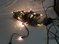 Click to view classifieds URQBTZVO