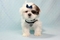 Click to view classifieds QYRPPRUT