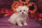 Click to view classifieds RQSSJVWG