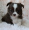 Click to view classifieds NHOGDPVE