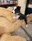 Click to view classifieds AVVHAEJQ
