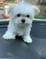 Click to view classifieds AWGMCGNN
