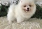 Click to view classifieds KMJLHLLH