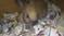 Click to view classifieds WQBKQZDN