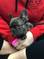 Click to view classifieds NWKTOVCL