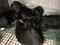 Click to view classifieds HNTNMMGY