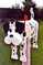 Click to view classifieds SCTHYWWB