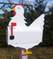 Click to view classifieds PGZUGANZ