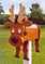 Click to view classifieds BROUTZGQ